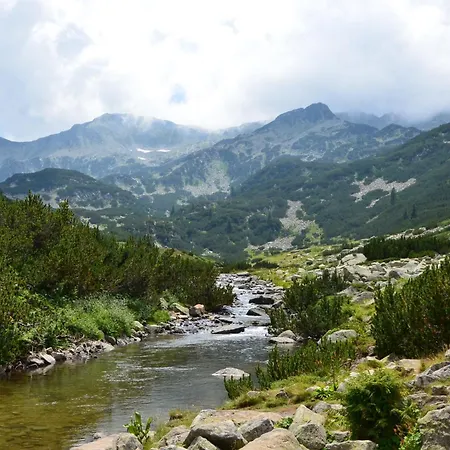 Апартаменты 